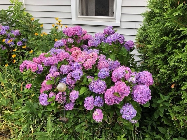 4461 Culver Road Irondequoit, NY 14622 - Photo 49 of 50