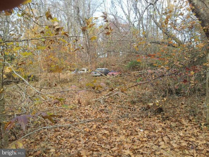 10701 Ridge Drive Clinton, MD 20735 - Photo 4 of 4 Acreage