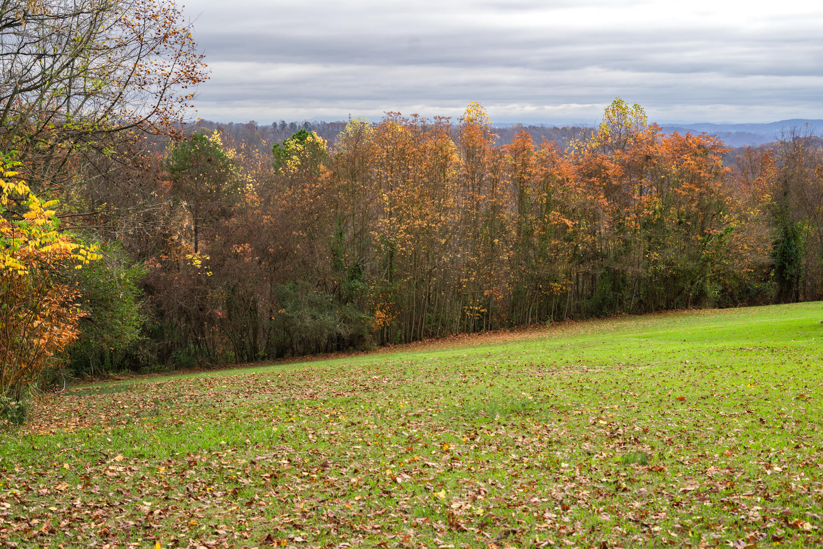 4557 Old Stage Road, Unit 2 Kingsport, TN 37664 - Photo 2 of 10 old stage land (7)