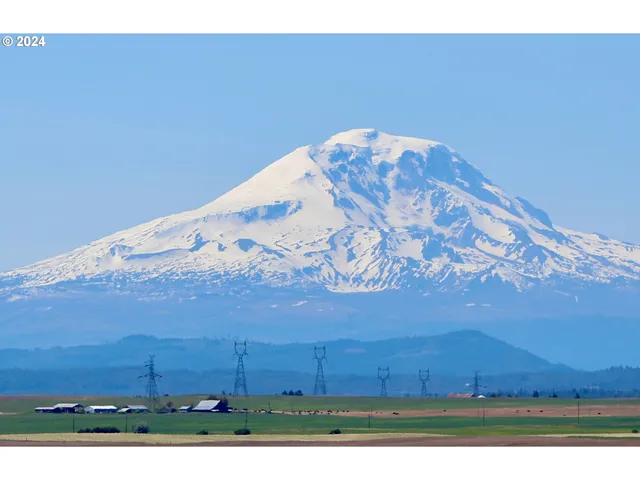 a view of wooden floor