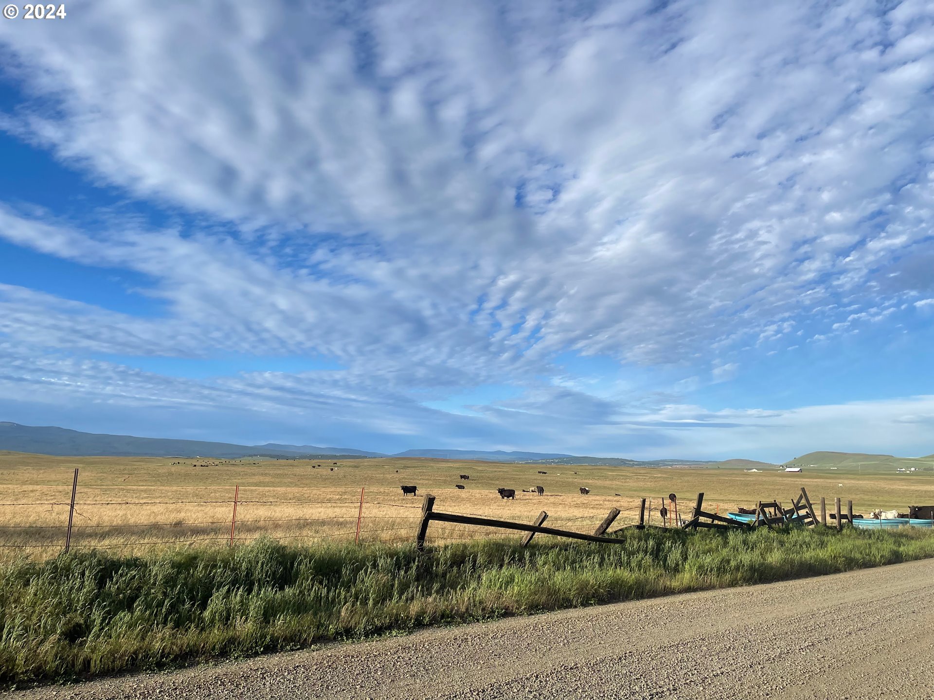 242 Van Hoy Road Goldendale, WA 98620 - Photo 38 of 44 a view of lake and mountain