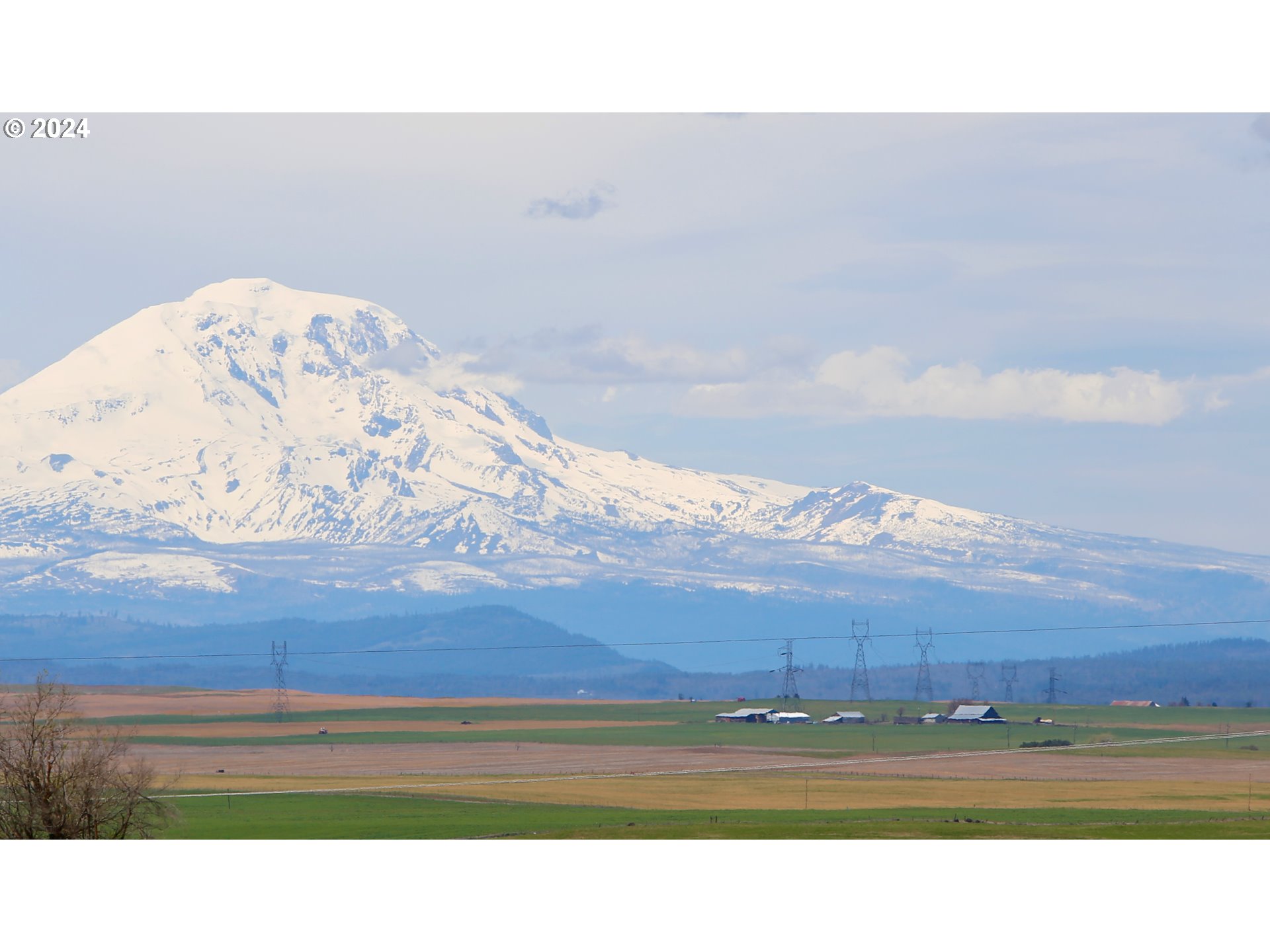 242 Van Hoy Road Goldendale, WA 98620 - Photo 6 of 44 a black and white photo of a room
