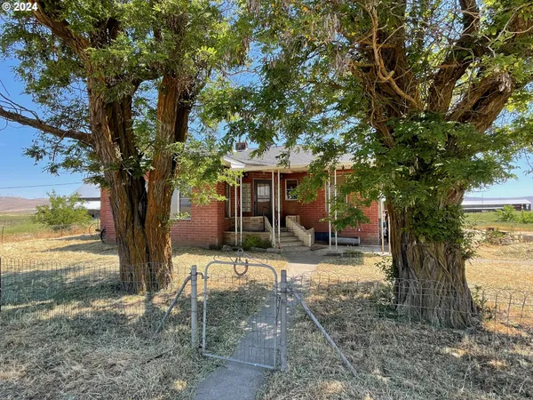 a view of a yard with a tree