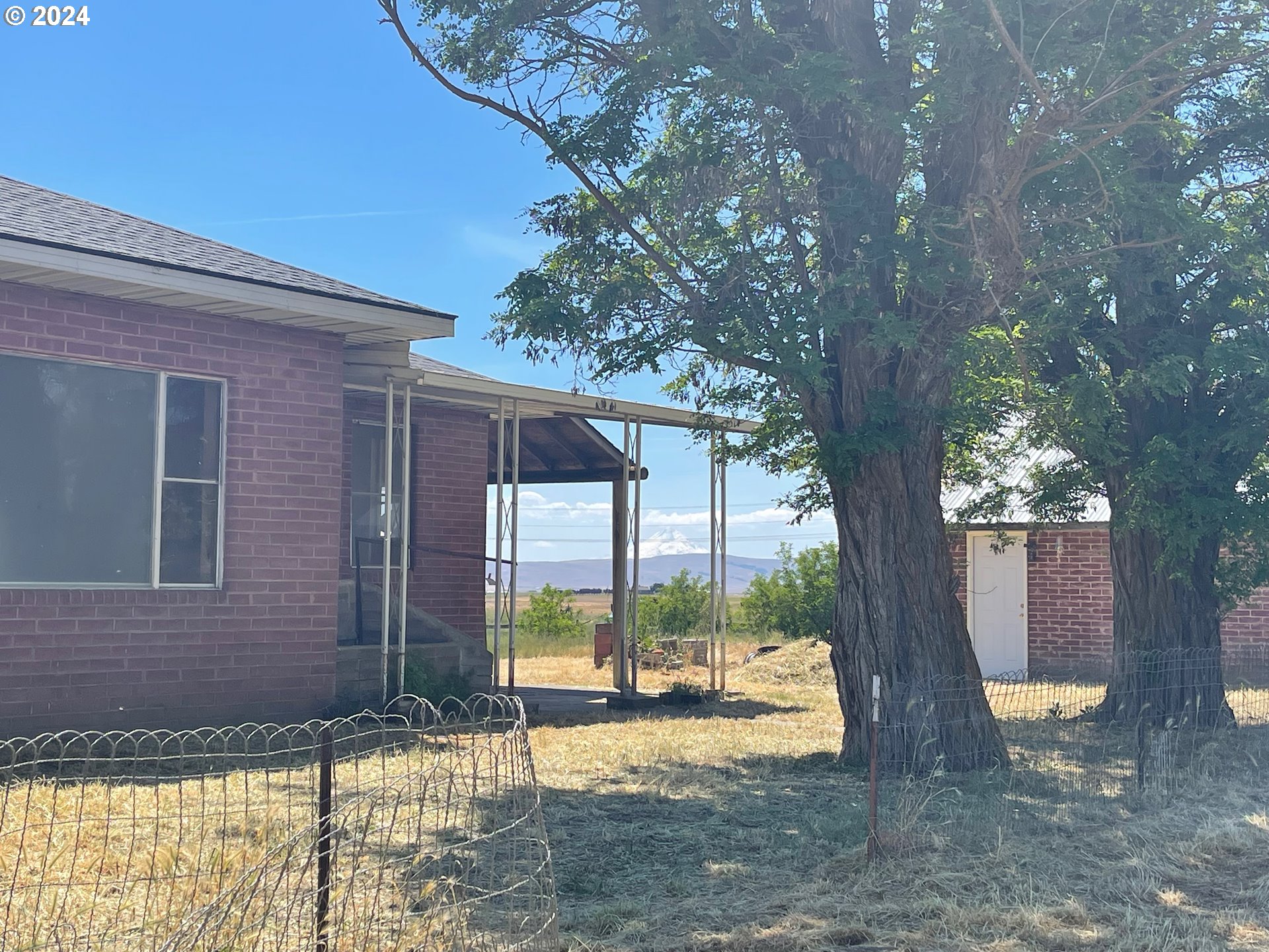 242 Van Hoy Road Goldendale, WA 98620 - Photo 9 of 44 a view of a yard with a tree