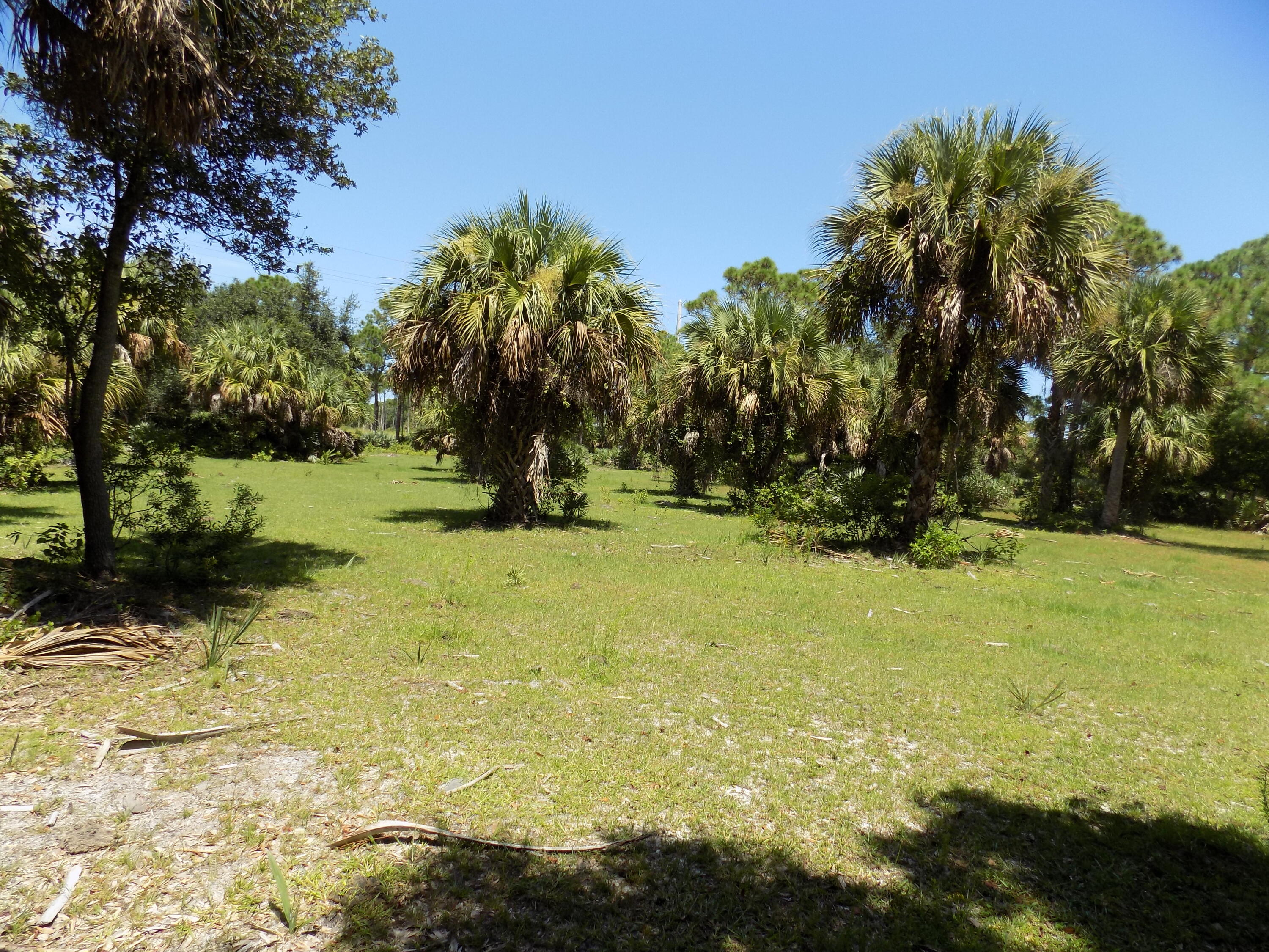 Tbd Tbd Russakis Road Fort Pierce, FL 34951 - Photo 16 of 20 DSCN1020