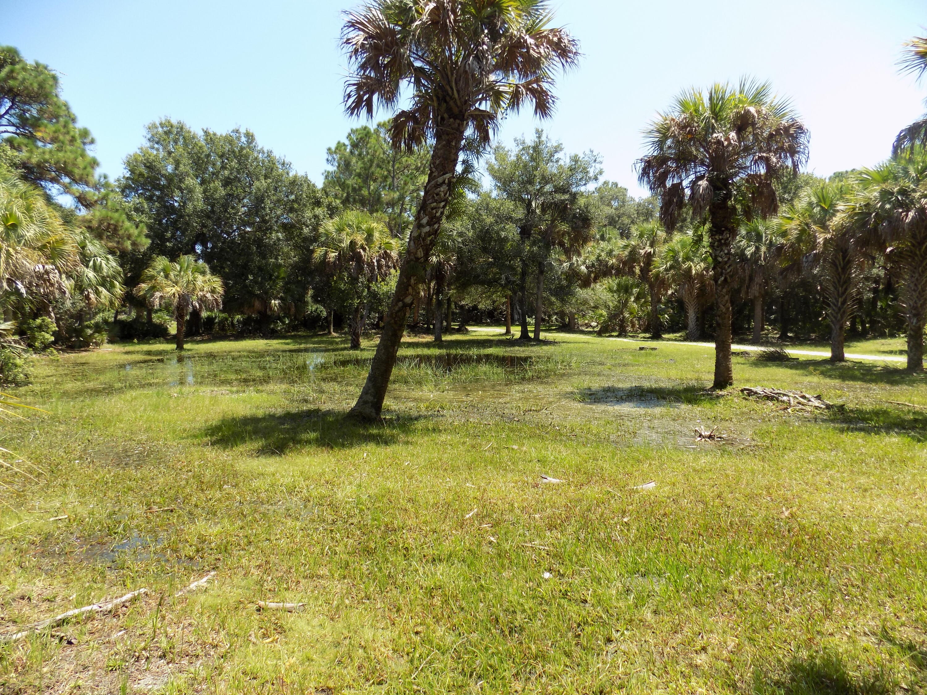 Tbd Tbd Russakis Road Fort Pierce, FL 34951 - Photo 3 of 20 DSCN1025