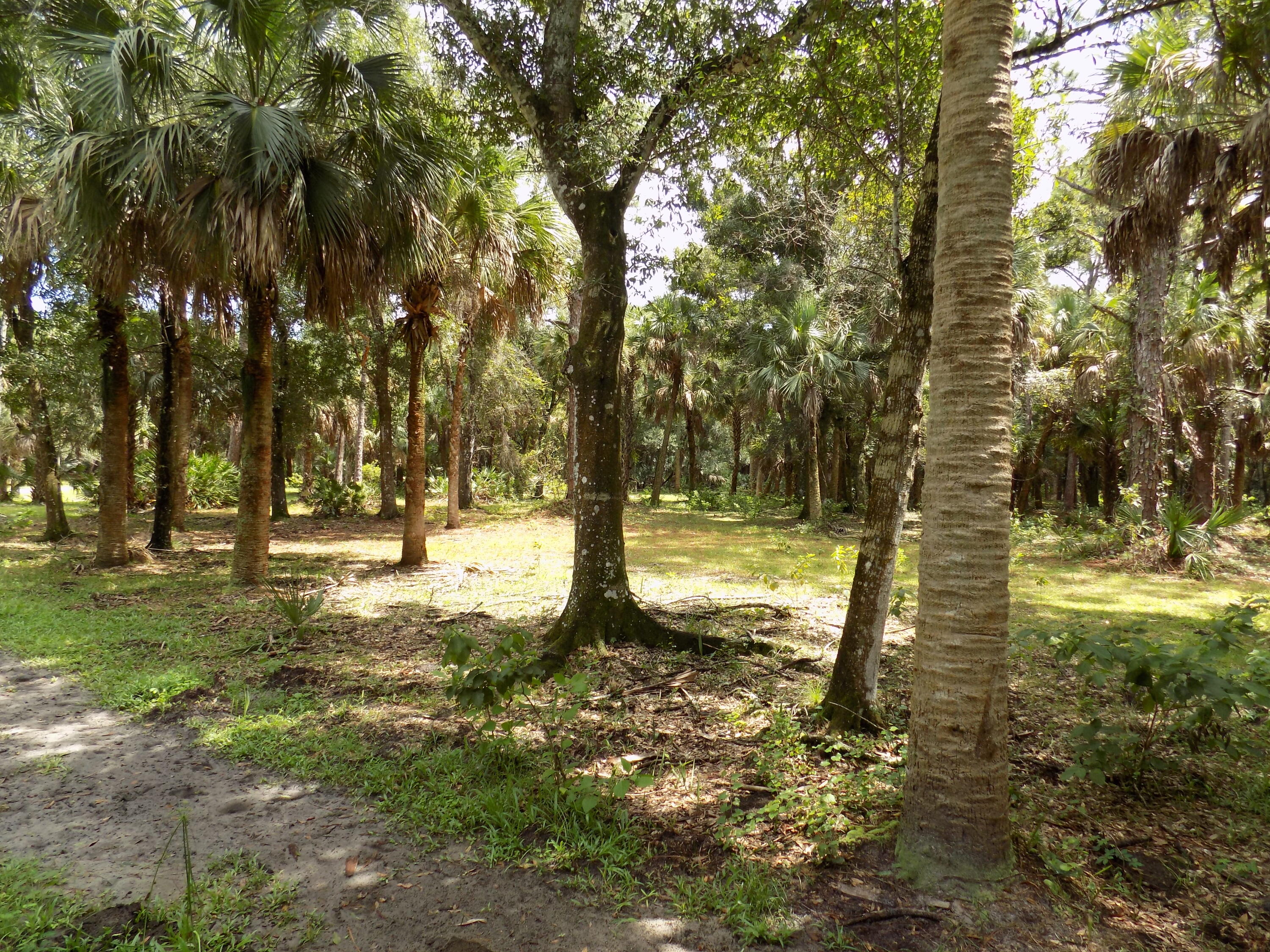 Tbd Tbd Russakis Road Fort Pierce, FL 34951 - Photo 5 of 20 DSCN0981 - Copy - Copy