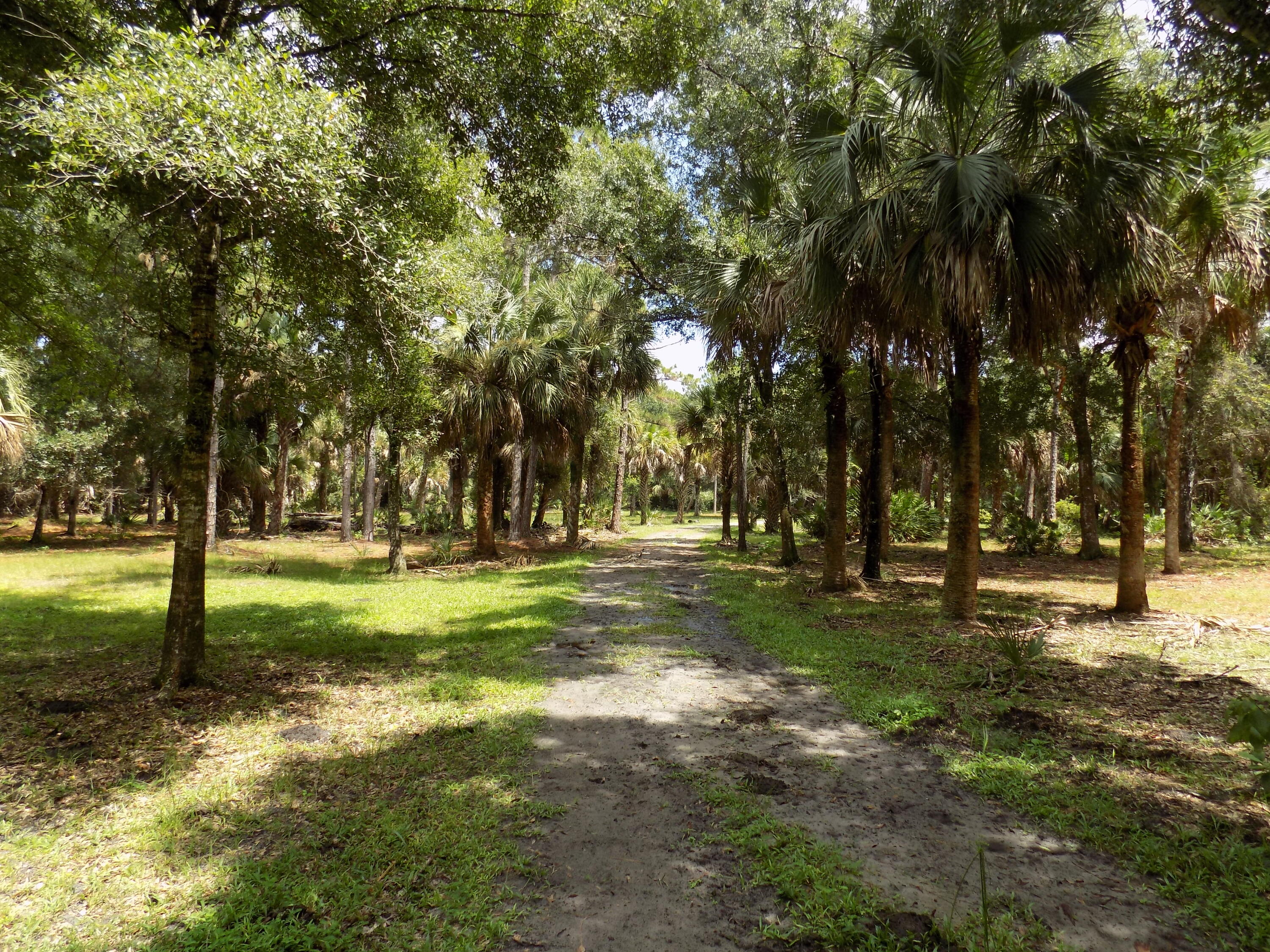 Tbd Tbd Russakis Road Fort Pierce, FL 34951 - Photo 7 of 20 DSCN0982 - Copy - Copy
