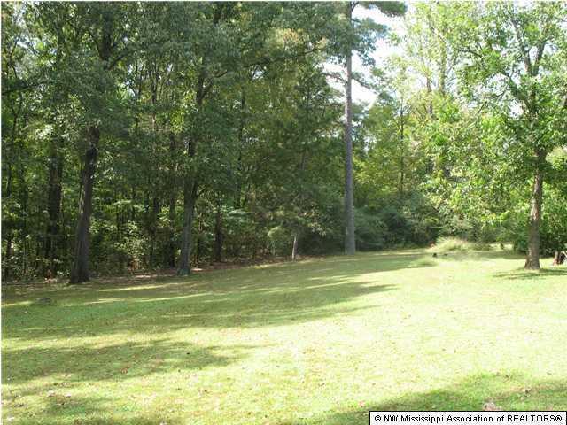144 Douglas Road Victoria, MS 38611 - Photo 11 of 15 Additional Photo