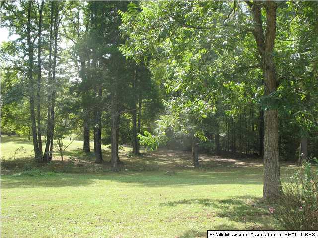 144 Douglas Road Victoria, MS 38611 - Photo 2 of 15 Additional Photo