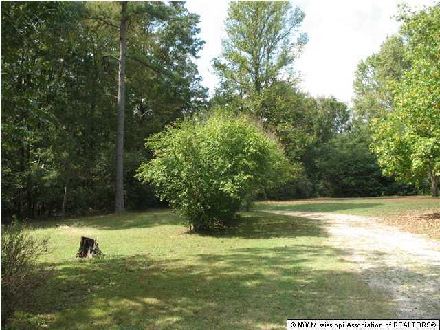 144 Douglas Road Victoria, MS 38611 - Photo 9 of 15 Additional Photo