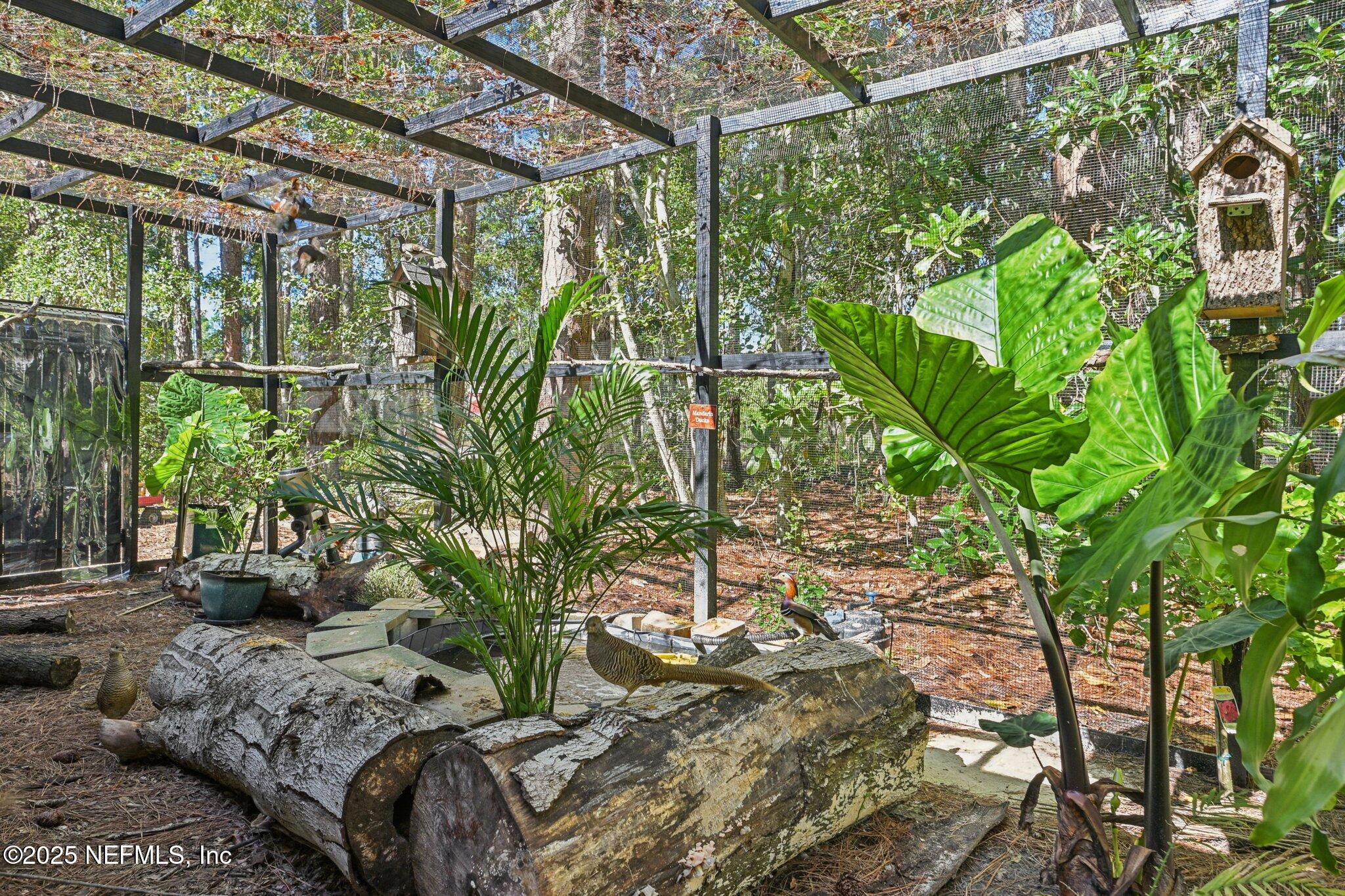 1265 Whispering Pines Road St. Johns, FL 32259 - Photo 38 of 49 Bird Cage