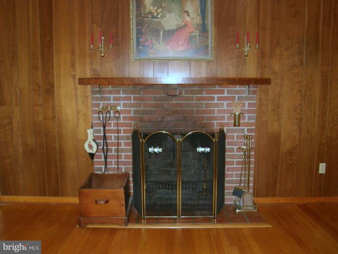 9725 Riverside Circle Ellicott City, MD 21042 - Photo 19 of 24 Living Room Fireplace