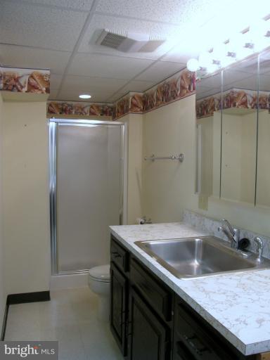 9725 Riverside Circle Ellicott City, MD 21042 - Photo 10 of 24 Bath Lower Level