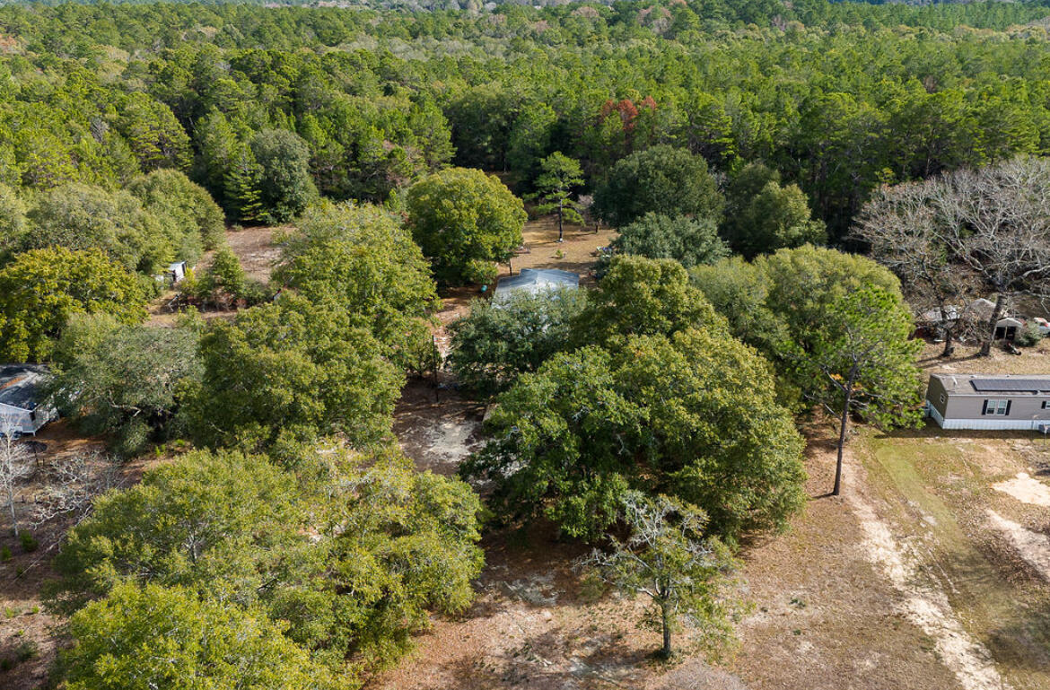 4360 Rebecca Road Crestview, FL 32539 - Photo 11 of 30 a view of a garden with plants
