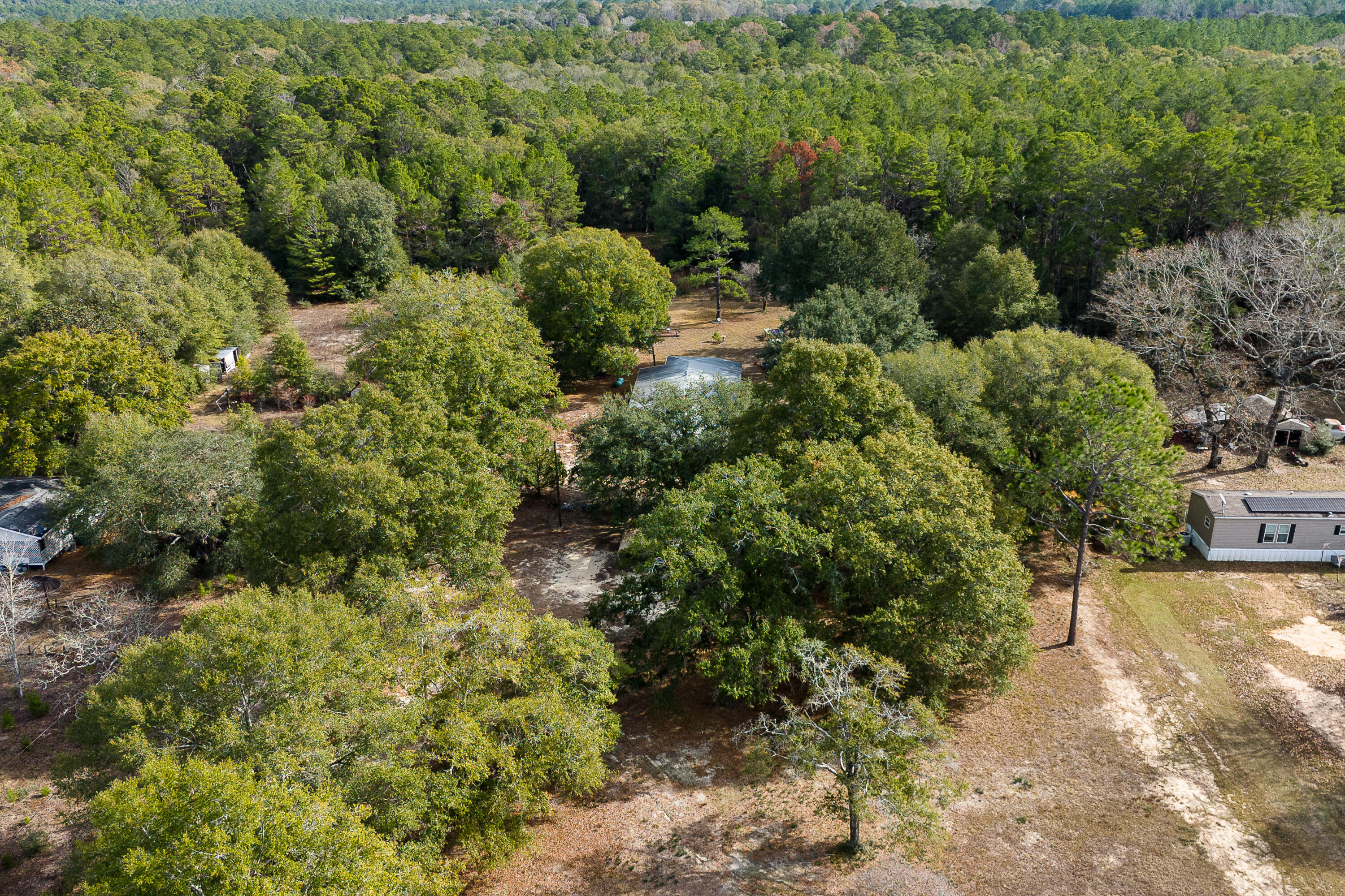 4360 Rebecca Road Crestview, FL 32539 - Photo 3 of 30 a view of a garden with plants and large trees