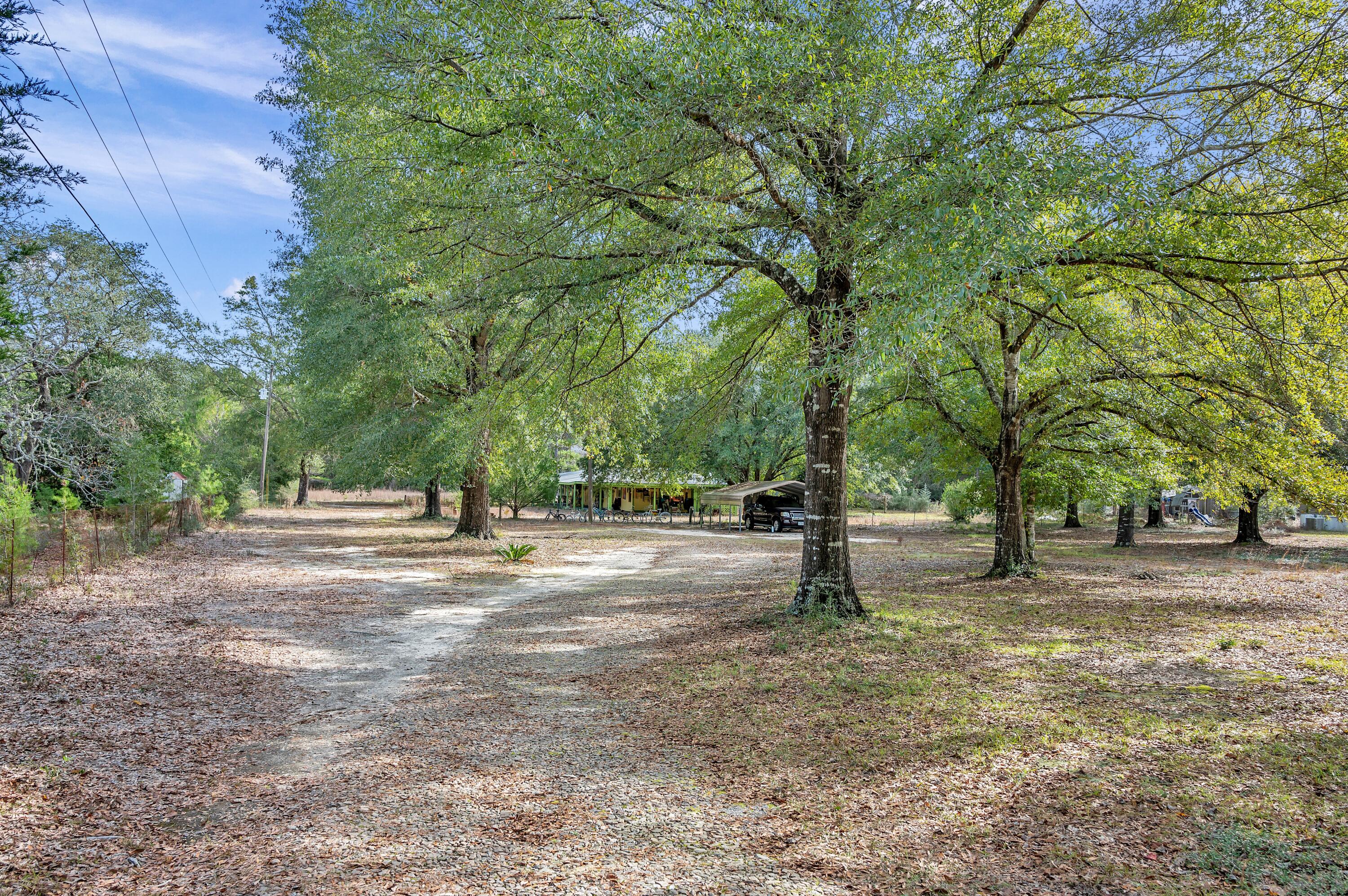 4360 Rebecca Road Crestview, FL 32539 - Photo 4 of 30 a park with lots of trees and plants
