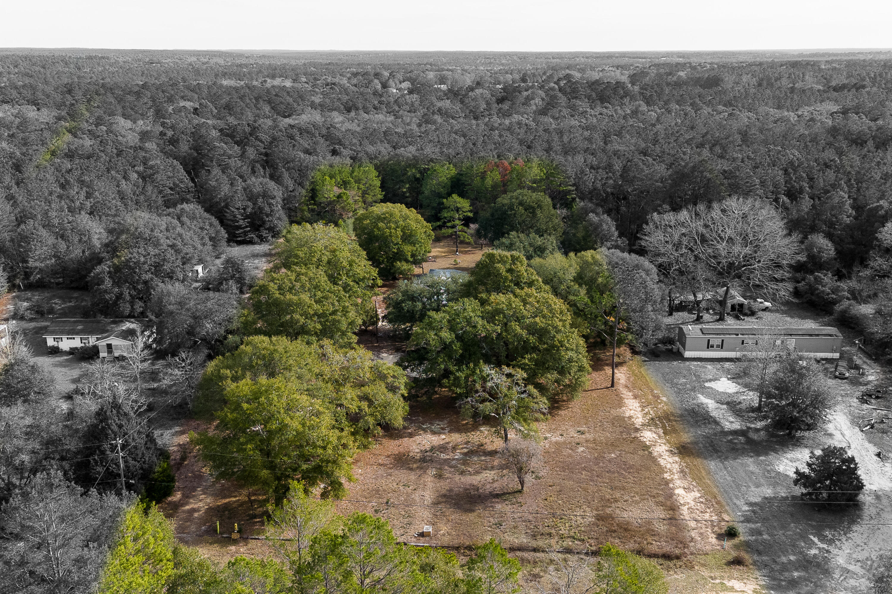 4360 Rebecca Road Crestview, FL 32539 - Photo 9 of 30 a view of a forest with a street