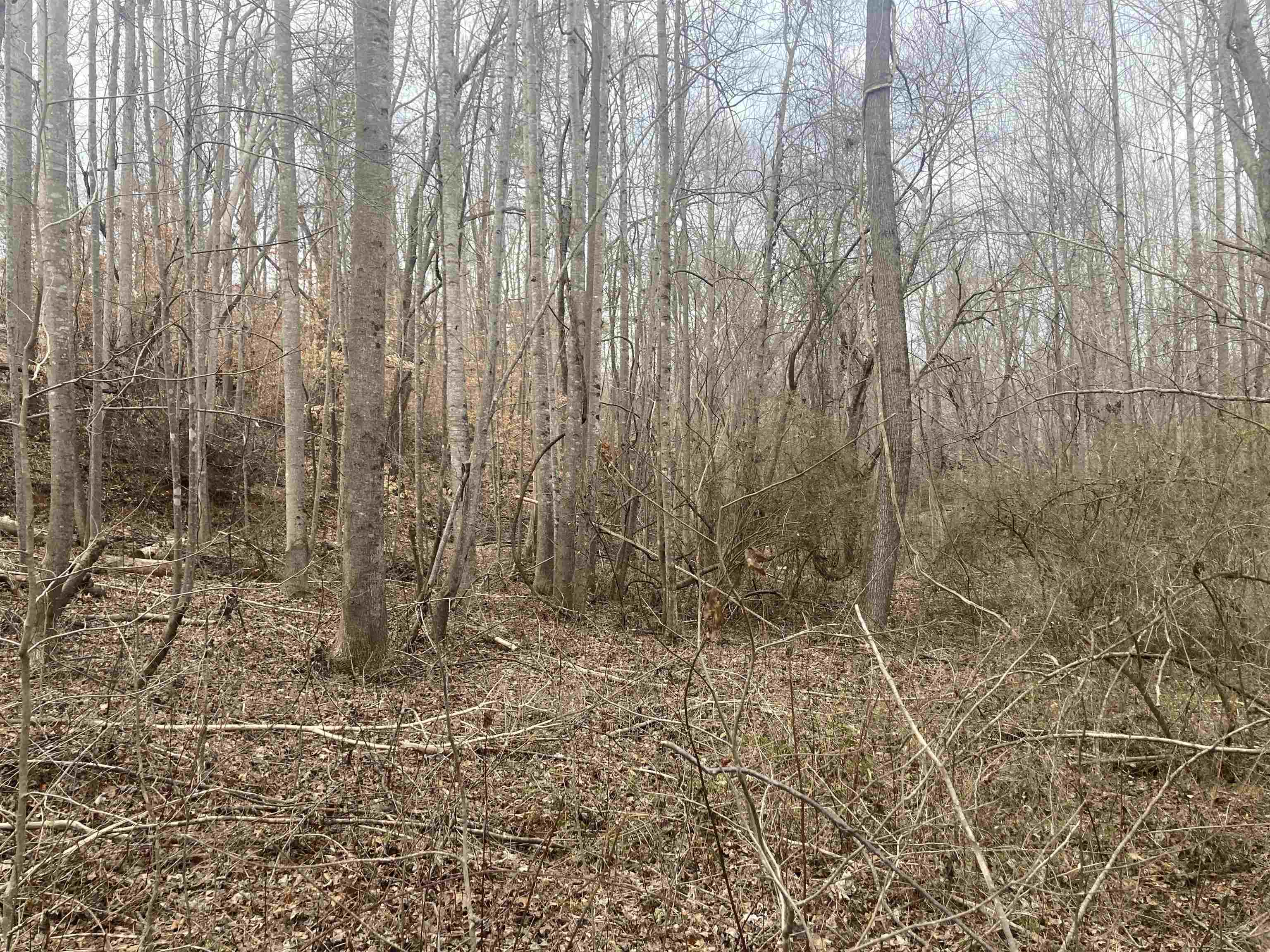 167 Rockingham Road Duncan, SC 29334 - Photo 3 of 9