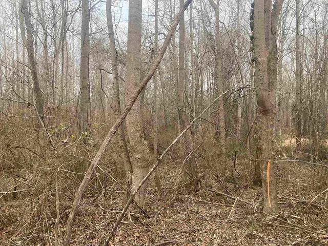 $49,979 | 167 Rockingham Road, Duncan, SC 29334