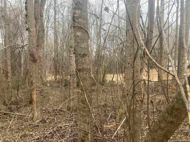 $49,979 | 167 Rockingham Road, Duncan, SC 29334