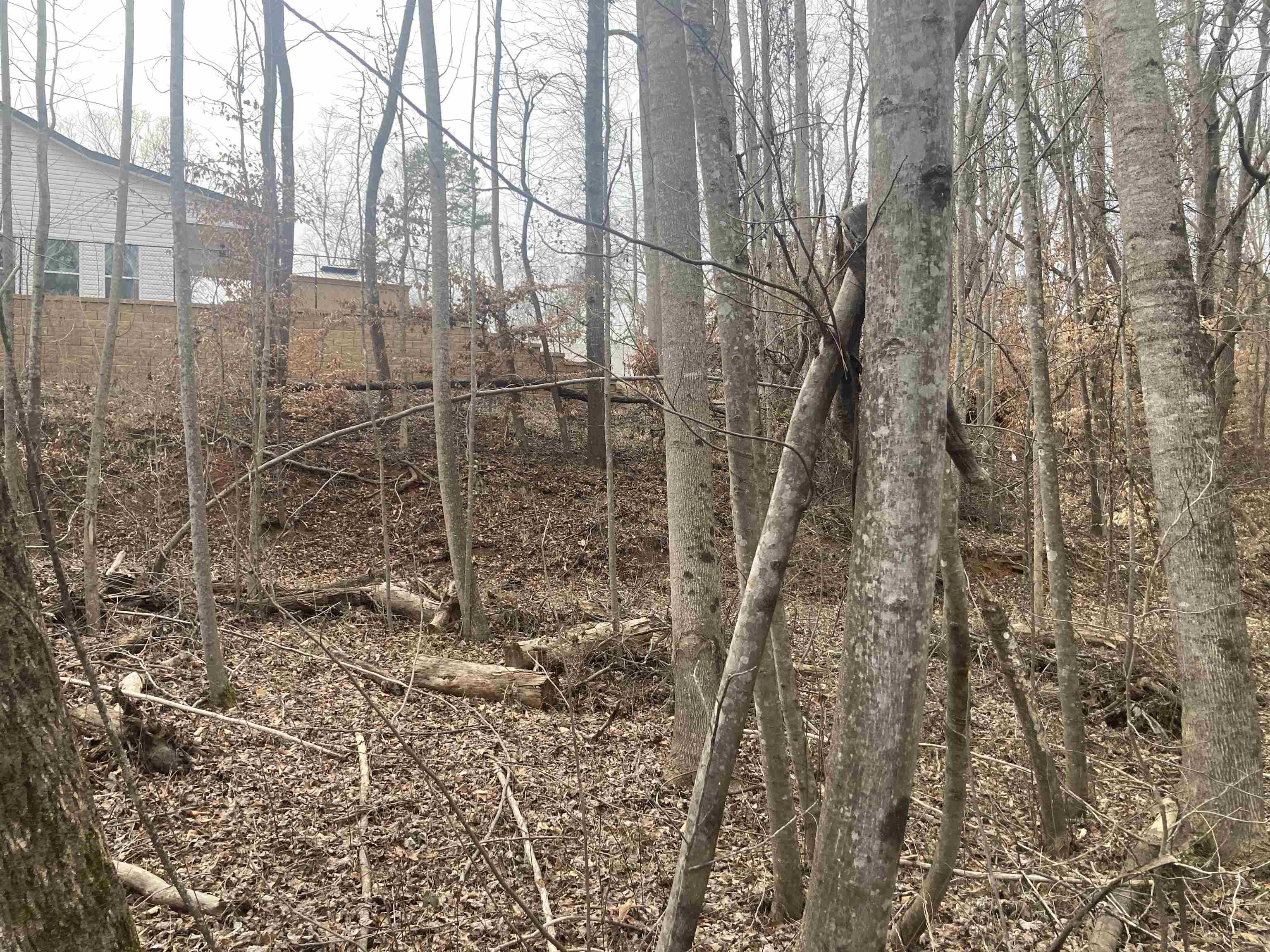 167 Rockingham Road Duncan, SC 29334 - Photo 6 of 9