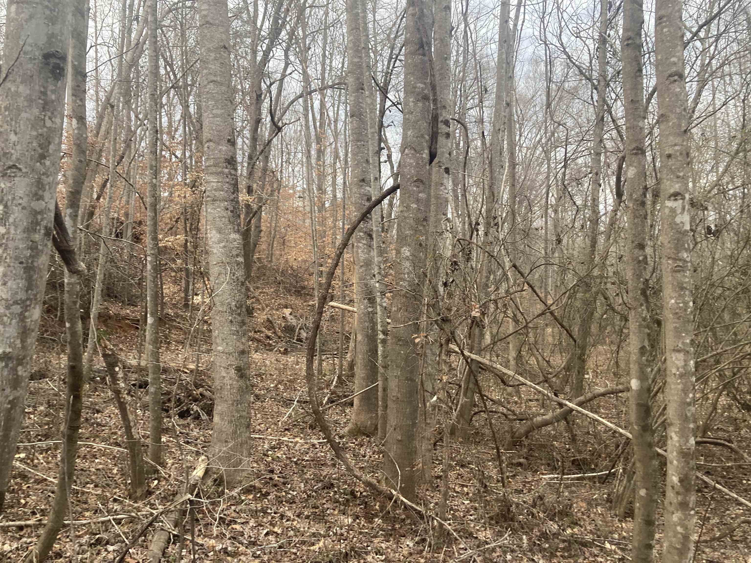 167 Rockingham Road Duncan, SC 29334 - Photo 7 of 9