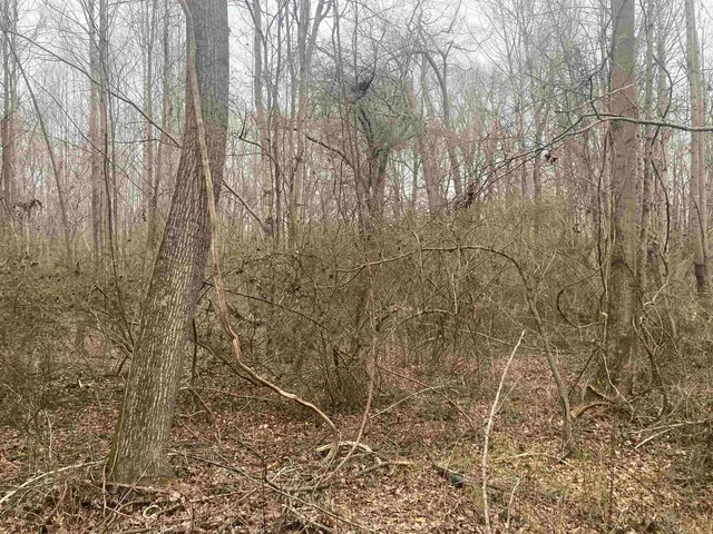 $49,979 | 167 Rockingham Road, Duncan, SC 29334