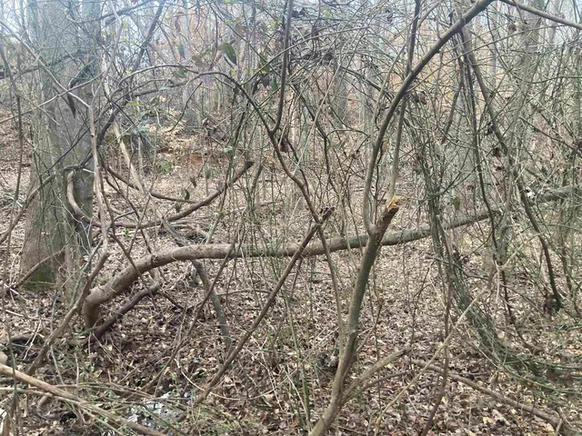 $49,979 | 167 Rockingham Road, Duncan, SC 29334