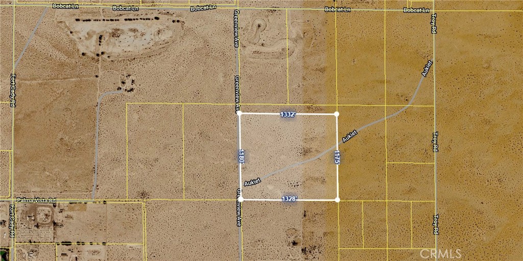 0 Greenview Road Newberry Springs, CA 92365 - Photo 34 of 40 Gallery Image 34