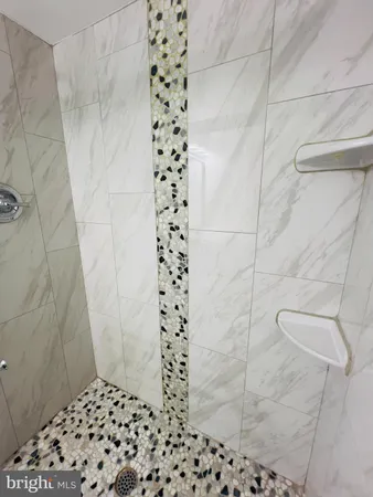 a bathroom with a shower and a toilet