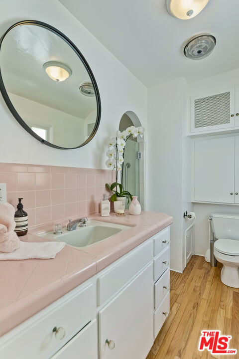 23350 Malibu Colony Road, Unit 109 Malibu, CA 90265 - Photo 53 of 61 a bathroom with a sink and a mirror