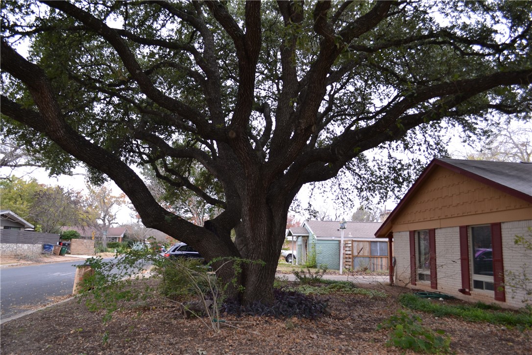 1912 Ridgemont Drive Austin, TX 78723 - Photo 2 of 28 a view of house with a tree in front of it