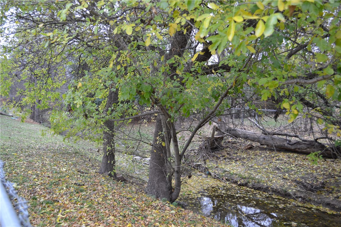1912 Ridgemont Drive Austin, TX 78723 - Photo 28 of 28 a view of a tree in a yard