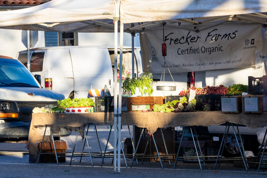635 Elm Avenue, Unit 1 Carpinteria, CA 93013 - Photo 29 of 36 635Elm_0256