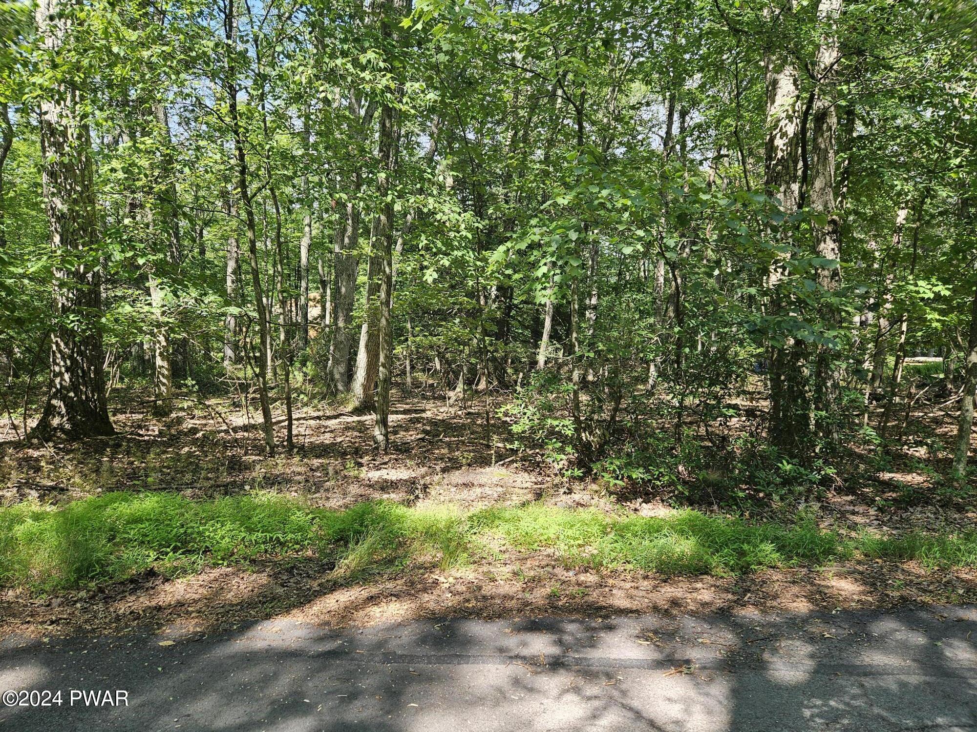 35-38 Seminole Road Shohola, PA 18458 - Photo 5 of 11