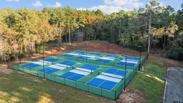 a view of a yard with plants and trees