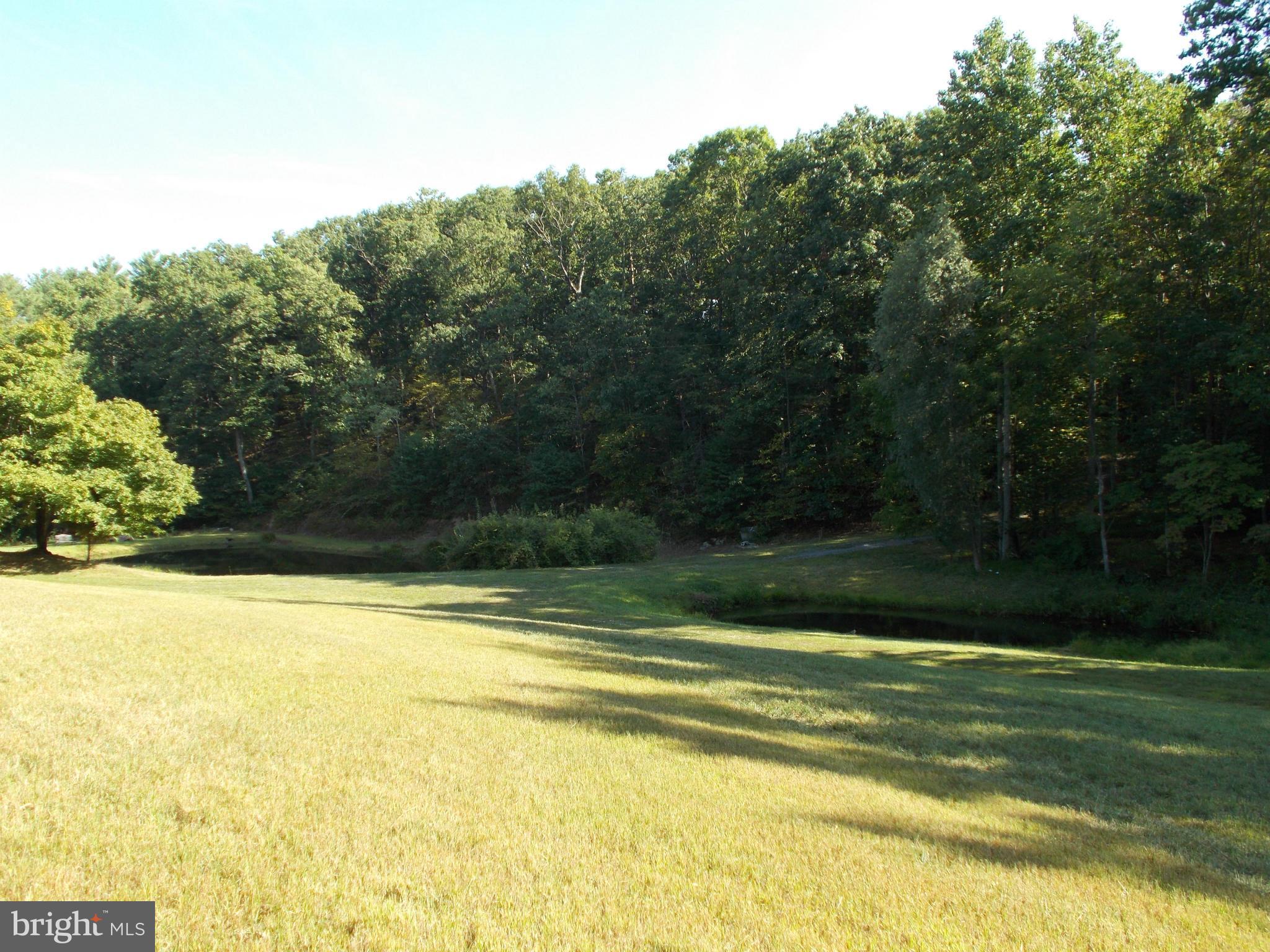 14612 Maple Ridge Hancock, MD 21750 - Photo 4 of 29 View