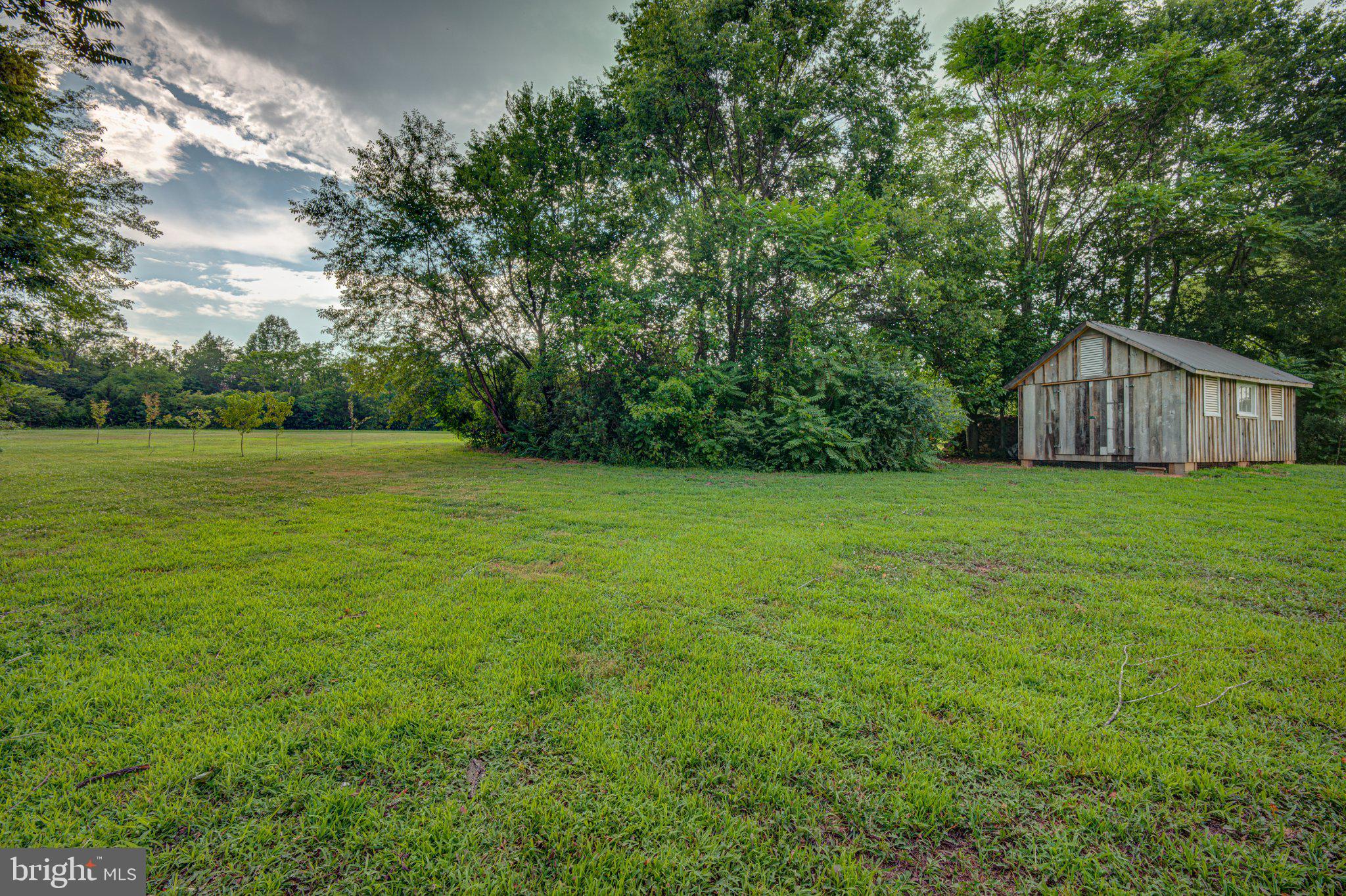 24177 Rapidan Road Mitchells, VA 22729 - Photo 38 of 43 Serene landscape with rustic shed.