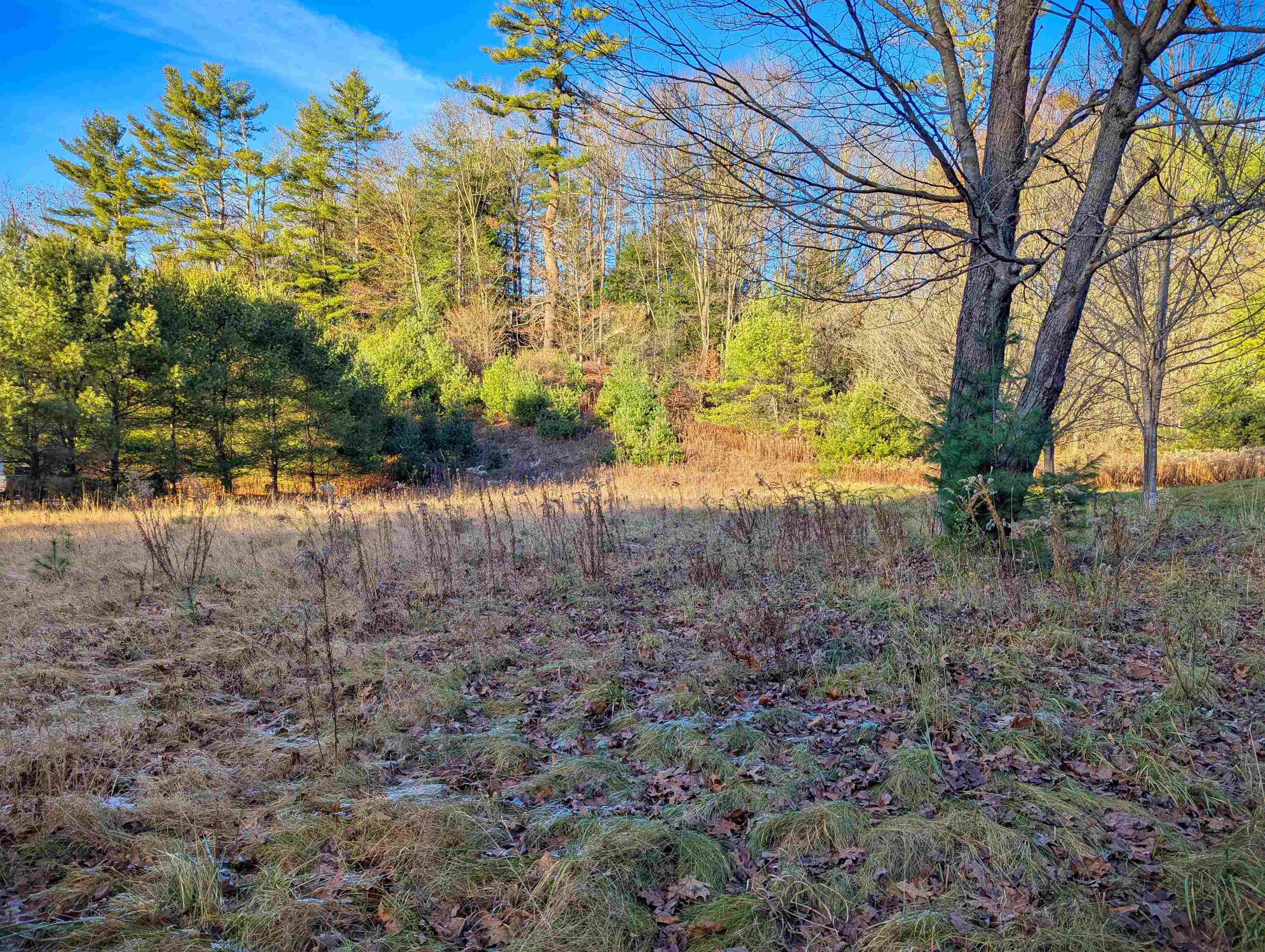 0 East Wilder Road West Lebanon, NH 03784 - Photo 8 of 10