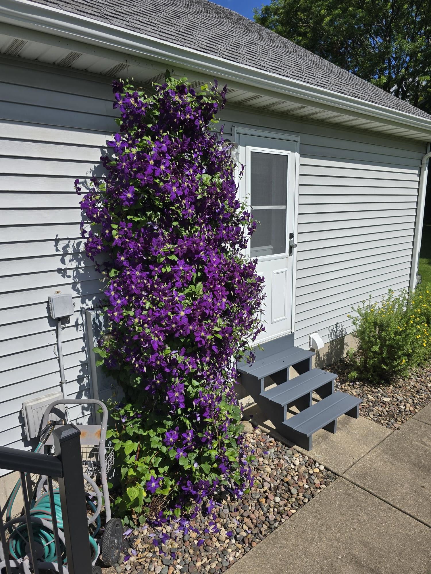 6722 Token Way DeForest, WI 53532 - Photo 60 of 90