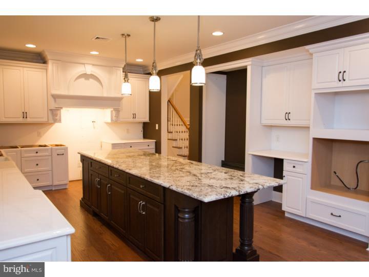 1005 Derwydd Lane Berwyn, PA 19312 - Photo 4 of 25 Kitchen