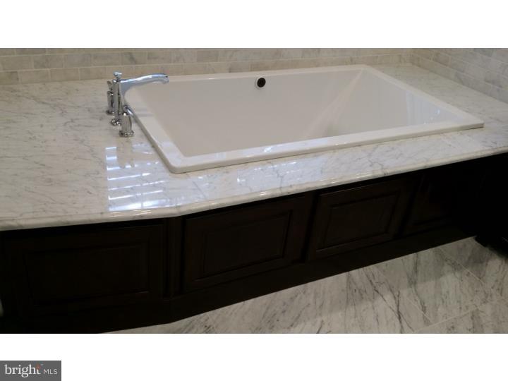 1005 Derwydd Lane Berwyn, PA 19312 - Photo 10 of 25 Master Bathroom