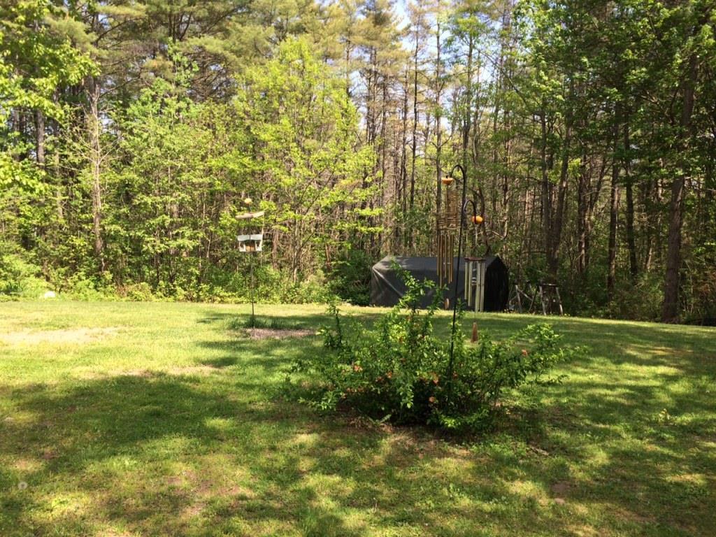 66 Litchfield Road Freeport, ME 04032 - Photo 13 of 15 This is a view of the rear yard....