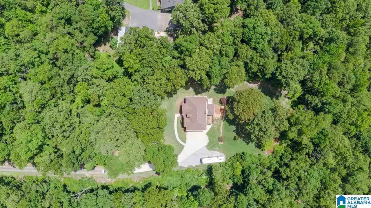 132 Chestnut Drive Alabaster, AL 35007 - Photo 46 of 49