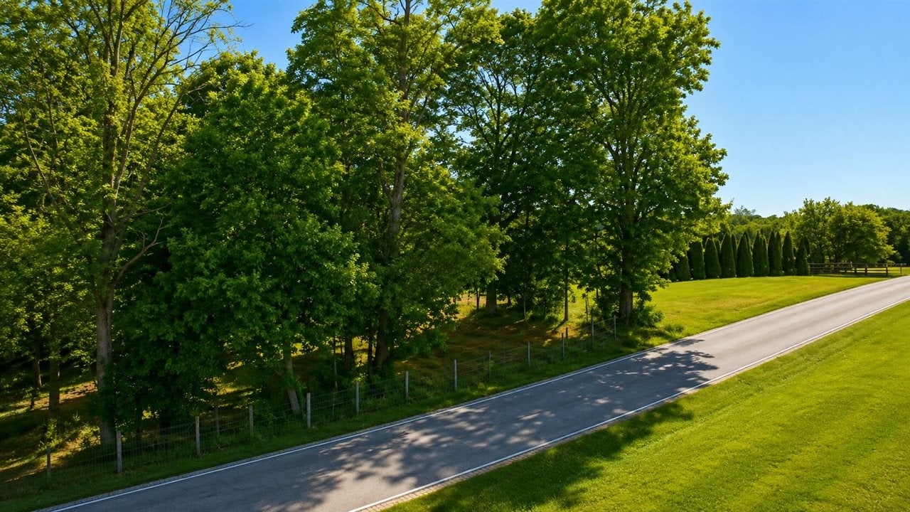 5840 Randolph Goodluck Road Summer Shade, KY 42166 - Photo 3 of 13 Gallery Image 3