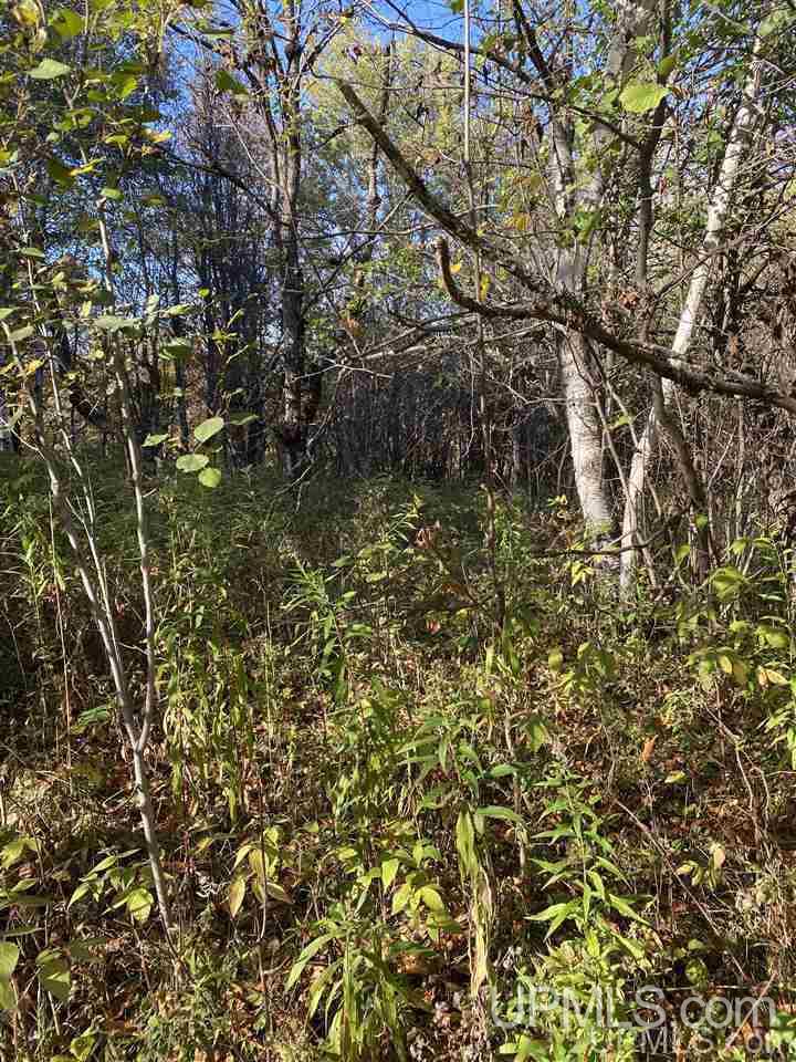 T-wi Wi 54534 Road Hurley, WI 54534 - Photo 6 of 35