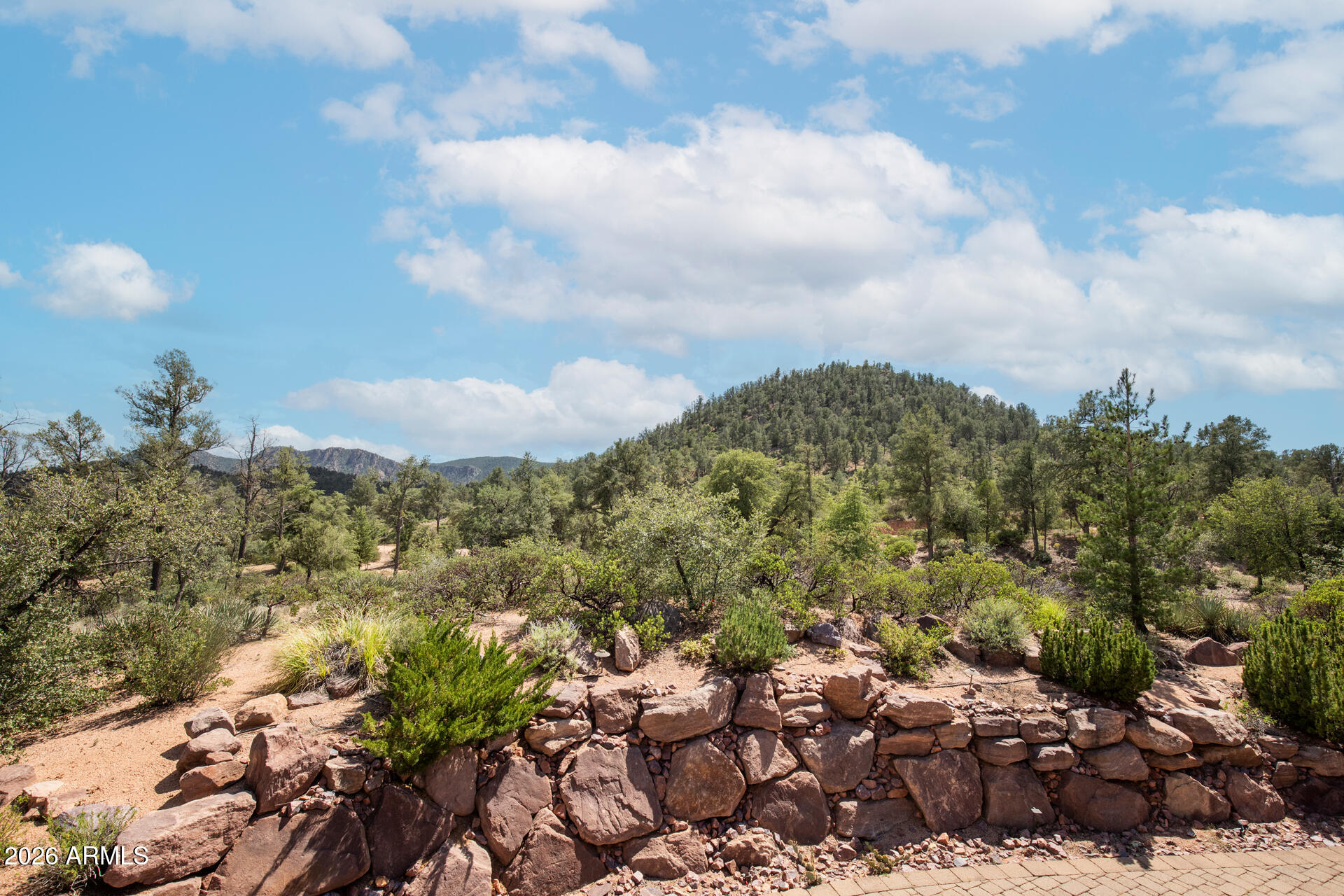 2302 East Rim Club Drive Payson, AZ 85541 - Photo 72 of 72 152