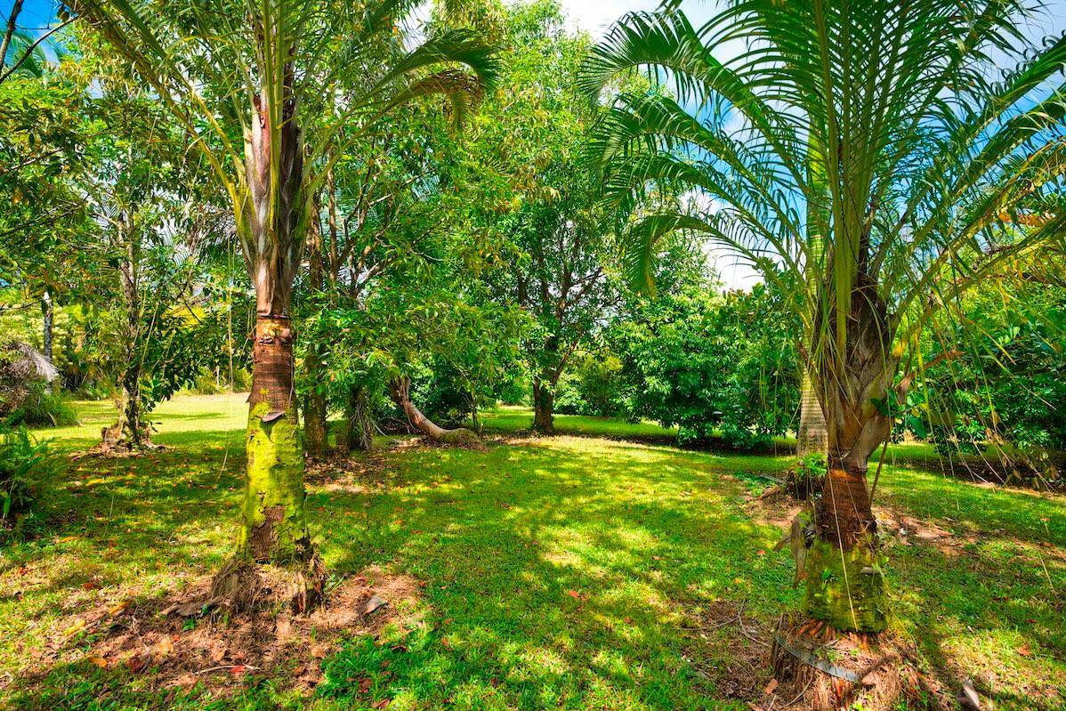 Lot 529 29th Ave  