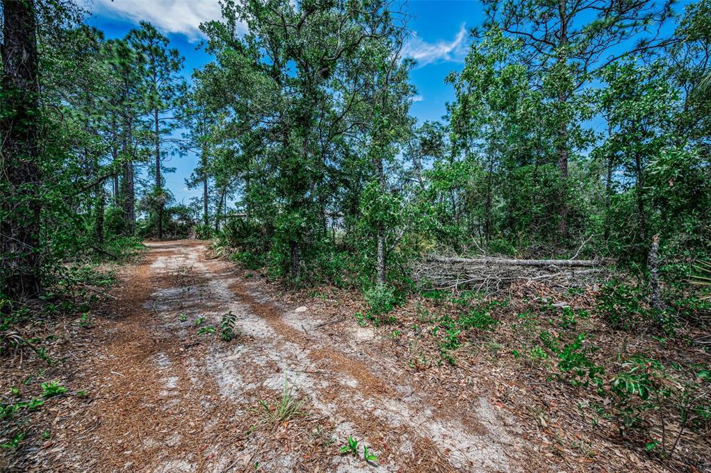 12123 Fulmar Road Weeki Wachee, FL 34614 - Photo 70 of 81